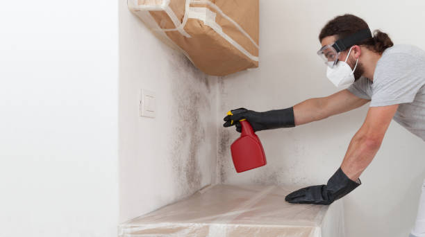 Professional Mold Remediation technician working in Woodbury, NY