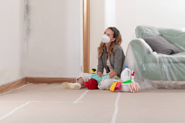 Reliable Mold Remediation contractor in Woodbury, NY by 24 Hour Mold Removal